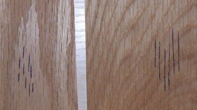 天然木皮木射線