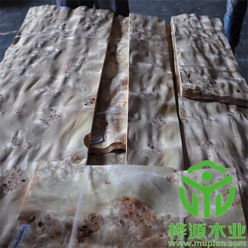 白楊樹榴木皮風格多樣,0.5mm樹榴木皮價格優惠