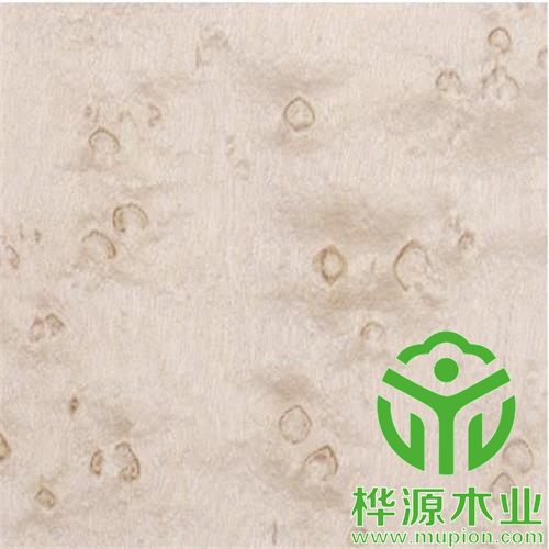 雀眼染色木皮0.5mm價格實惠 ，染色木皮廠家直銷